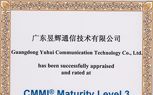 CMMI 3级认证